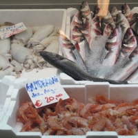 Fresh seafood
