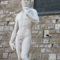 I don\'t remember if this is the fake David or the real David...or a David at all