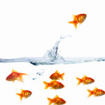 How to Have a Different Life (or One Year as the CEO of Me)