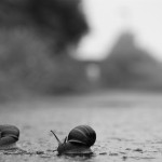 3 Ways to Stay Motivated and Productive on the Journey to Achieve Your Goals