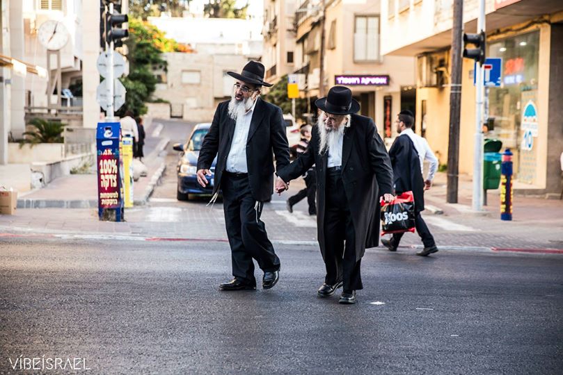 Photo by Gaya S. Turtle courtesy of Vibe Israel