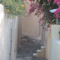 pretty steps in Oia