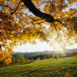 The Magical World of Possibility