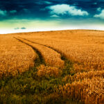 Three Ways to Start Living the Life of Your Dreams