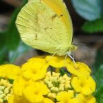 Cocoon Syndrome and What to Do When People Don’t Want You to Change