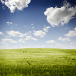 Three Negative Behaviors to Let Go of So You Can Move Forward with Your Life