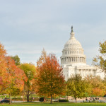 Claim Your Freedom at the Blogging School LIVE 3-Day Intensive in DC!